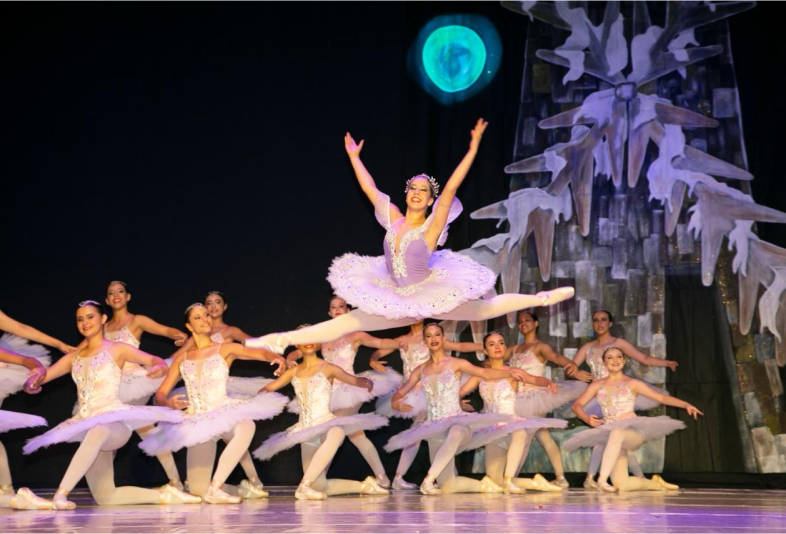 Espetaculo Dom Quixote - 2022